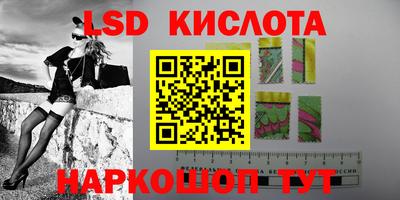 стафф Краснознаменск