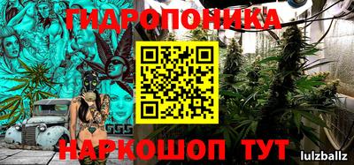 стафф Краснознаменск