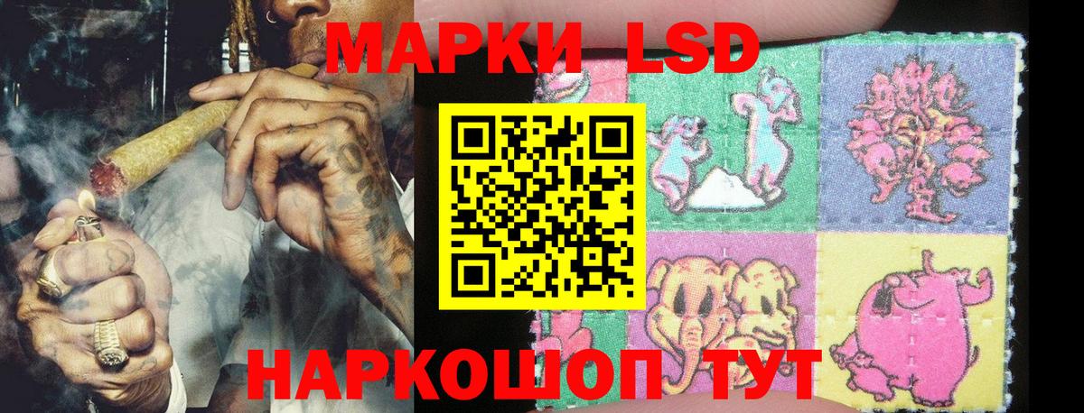как найти   Марки NBOMe 1500мкг  Вход с VPN  Заводоуковск  Марки NBOMe 1500мкг 