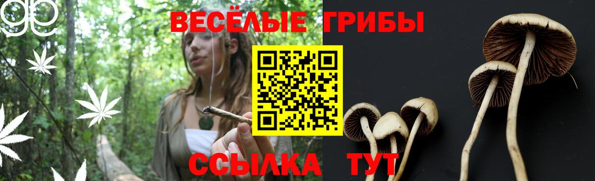 Галлюциногенные грибы мицелий  Вход с VPN  Заводоуковск 